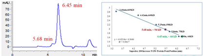 HIPK1 Protein, Human
