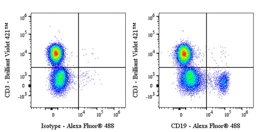 Invivo anti-Human CD19 Recombinant mAb