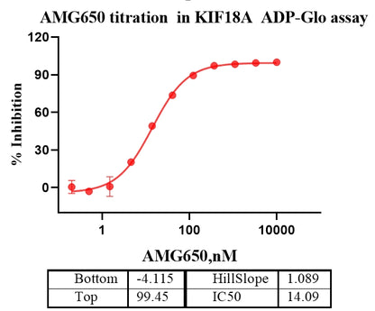 KIF18A Protein