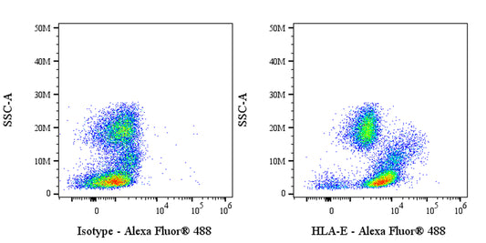 Alexa Fluor® 488 Mouse Anti-Human HLA-E Antibody (3D12)