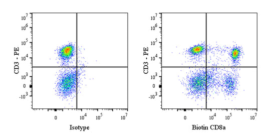 Biotin Mouse Anti-Rat CD8a Antibody (OX-8)