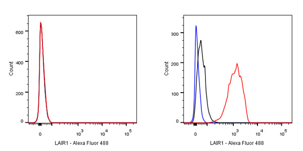 LAIR1 Recombinant Rabbit mAb (S-285-2)