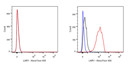 LAIR1 Recombinant Rabbit mAb (S-285-2)