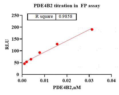 PDE4B2 His Tag Protein, Human