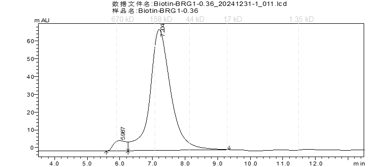 Biotin-SMARCA4 Protein, Human