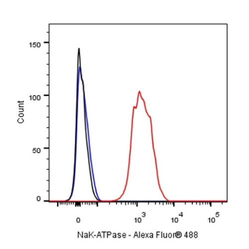 NaK-ATPase Recombinant Rabbit mAb (S-1373-39)