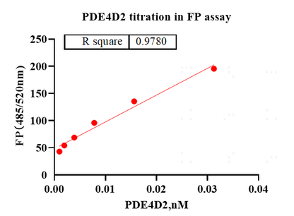 PDE4D2 His Tag Protein, Human