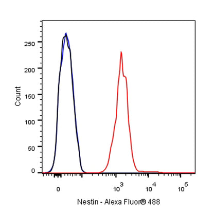 Nestin Recombinant Rabbit mAb (SDT-R112)