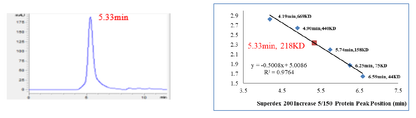 USP16 Protein