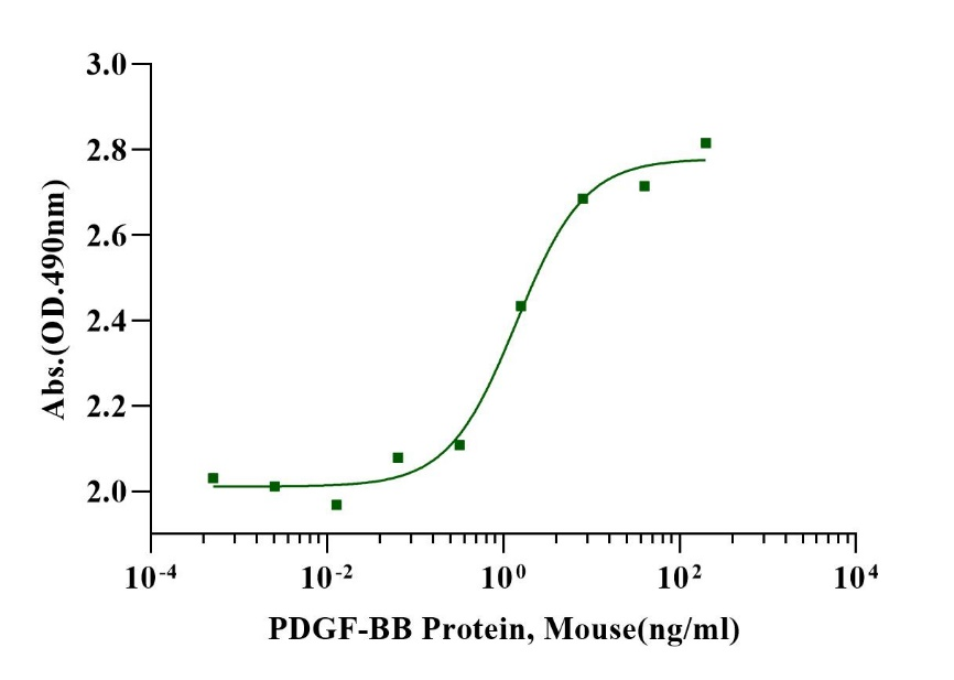 PDGF-BB Protein, Mouse
