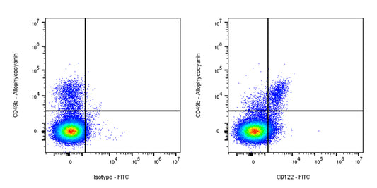 FITC Rat Anti-Mouse CD122 (IL-2Rβ) Antibody (TM-β1)