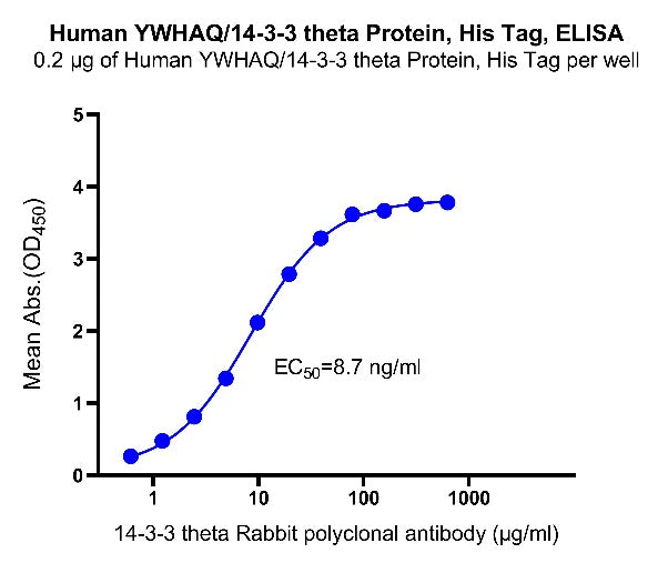 YWHAQ/14-3-3 theta His Tag Protein, Human