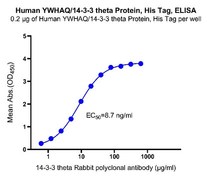 YWHAQ/14-3-3 theta His Tag Protein, Human