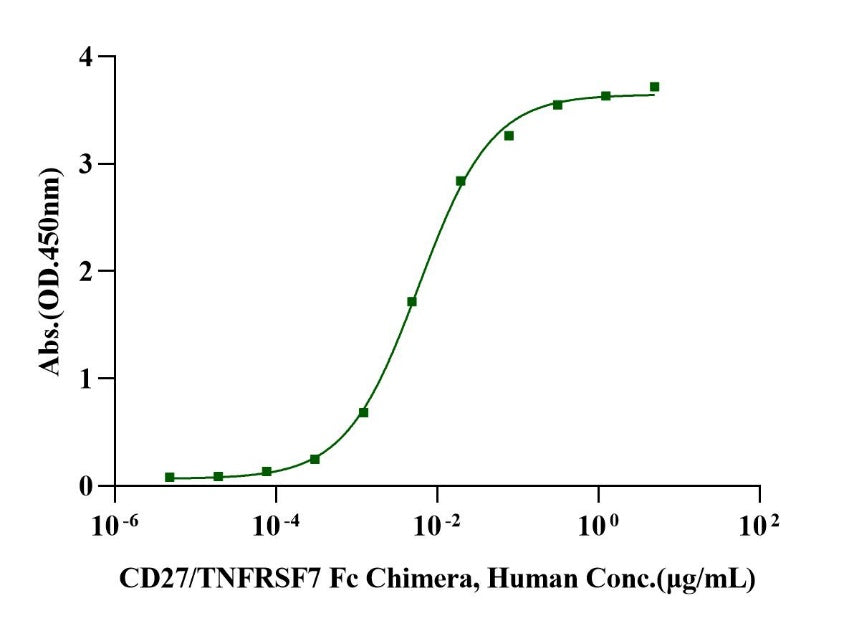CD27 Ligand His Tag Protein, Cynomolgus