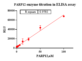 PARP12, GST Tag Protein
