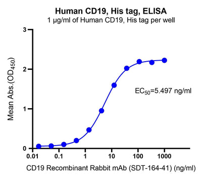 Human CD19, His tag
