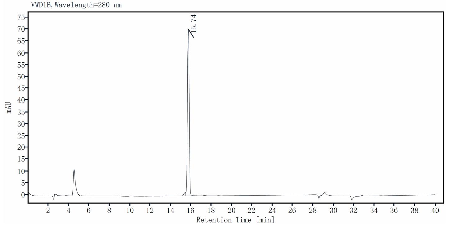 P53(Y220C) His Tag Protein, Human