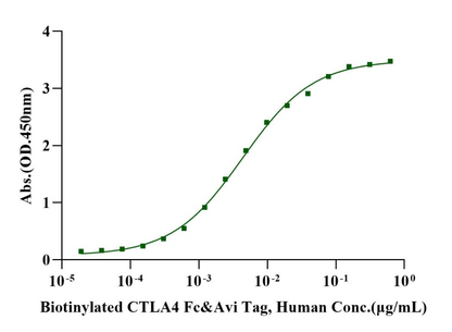 Biotinylated CTLA4 Fc&Avi Tag Protein, Human