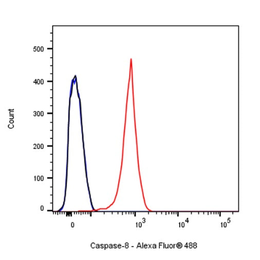 Caspase-8 Recombinant Rabbit mAb (S-1540-1)