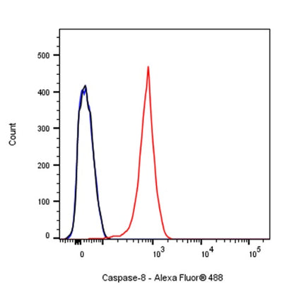 Caspase-8 Recombinant Rabbit mAb (S-1540-1)