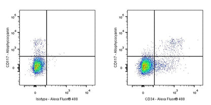 Rat Anti-Mouse CD34 Antibody (RAM34)