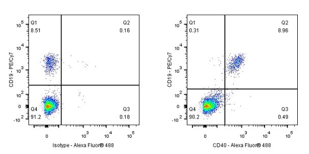 Alexa Fluor® 488 Mouse Anti-Human CD40 Antibody (S-R485)