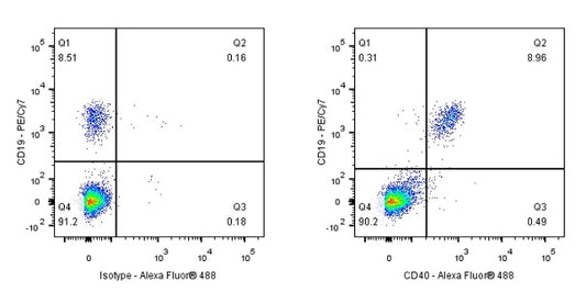 Alexa Fluor® 488 Mouse Anti-Human CD40 Antibody (S-R485)