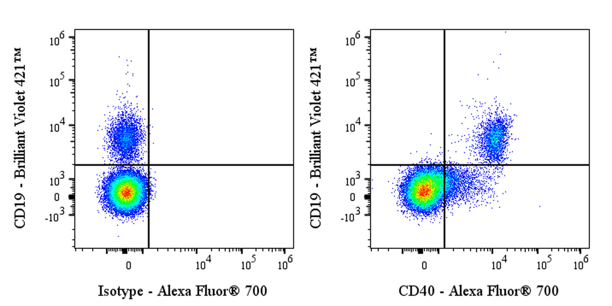 Alexa Fluor® 700 Rabbit Anti-Human CD40 Antibody (S-145-45)