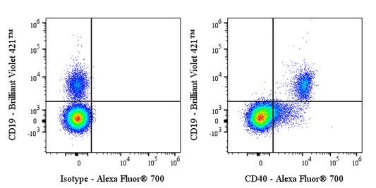 Alexa Fluor® 700 Rabbit Anti-Human CD40 Antibody (S-145-45)