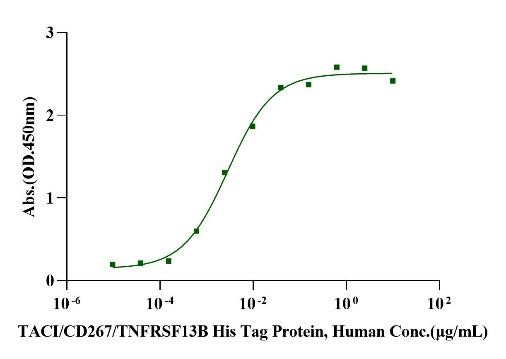 TACI/CD267/TNFRSF13B His Tag Protein, Human