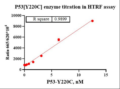 p53[Y220C] His Tag Protein