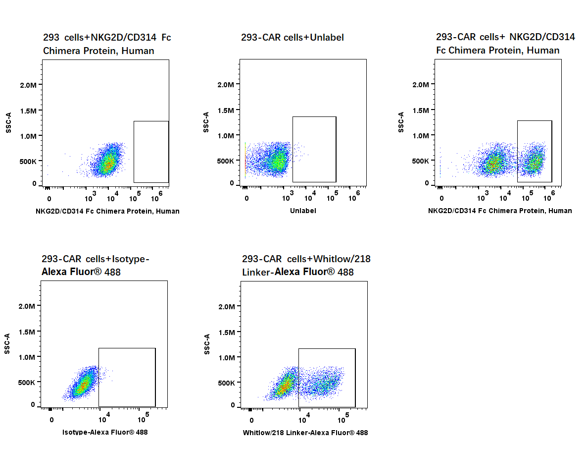 NKG2D/CD314 Fc Chimera Protein, Human
