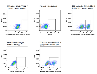 NKG2D/CD314 Fc Chimera Protein, Human