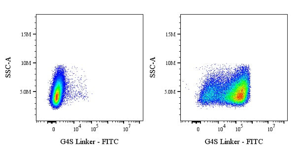 G4S Linker Recombinant Rabbit mAb (FITC Conjugate) (S-711-23)