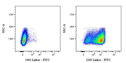 G4S Linker Recombinant Rabbit mAb (FITC Conjugate) (S-711-23)