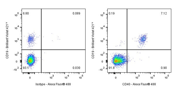 Mouse Anti-Human CD40 Antibody (HI40a)