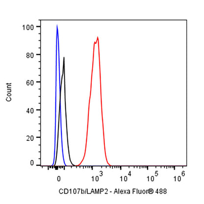 CD107b/LAMP2 Recombinant Mouse mAb (H4B4)