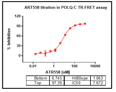 POLtheta Protein