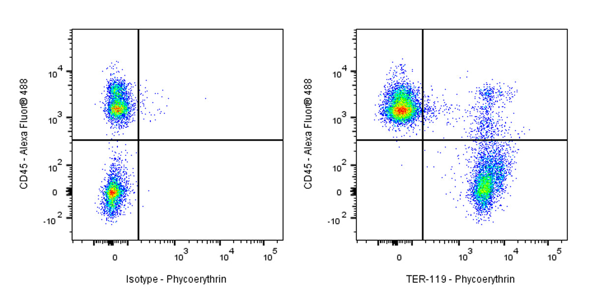 PE Rat Anti-Mouse TER-119/Erythroid Cells Antibody (TER-119)