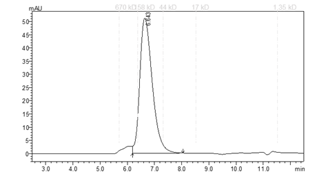 GSPT1 GST tag Protein, Human