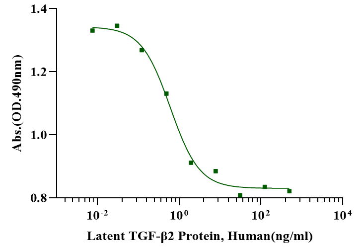 Latent TGF-β2 Protein, Human
