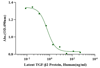 Latent TGF-β2 Protein, Human