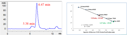 JNK2 (D3K, C6V, S8N, Q14E, K203A, E204A, K250A, 
K251A) Protein, Human
