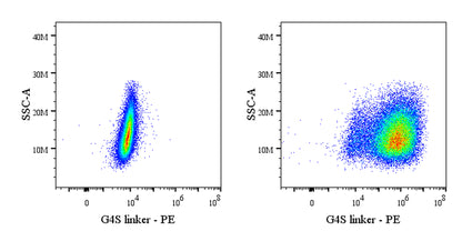 G4S Linker Recombinant Rabbit mAb (PE Conjugate) (S-5030)