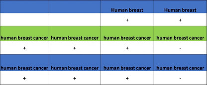 ER alpha Recombinant Rabbit mAb (SDT-2950-36)