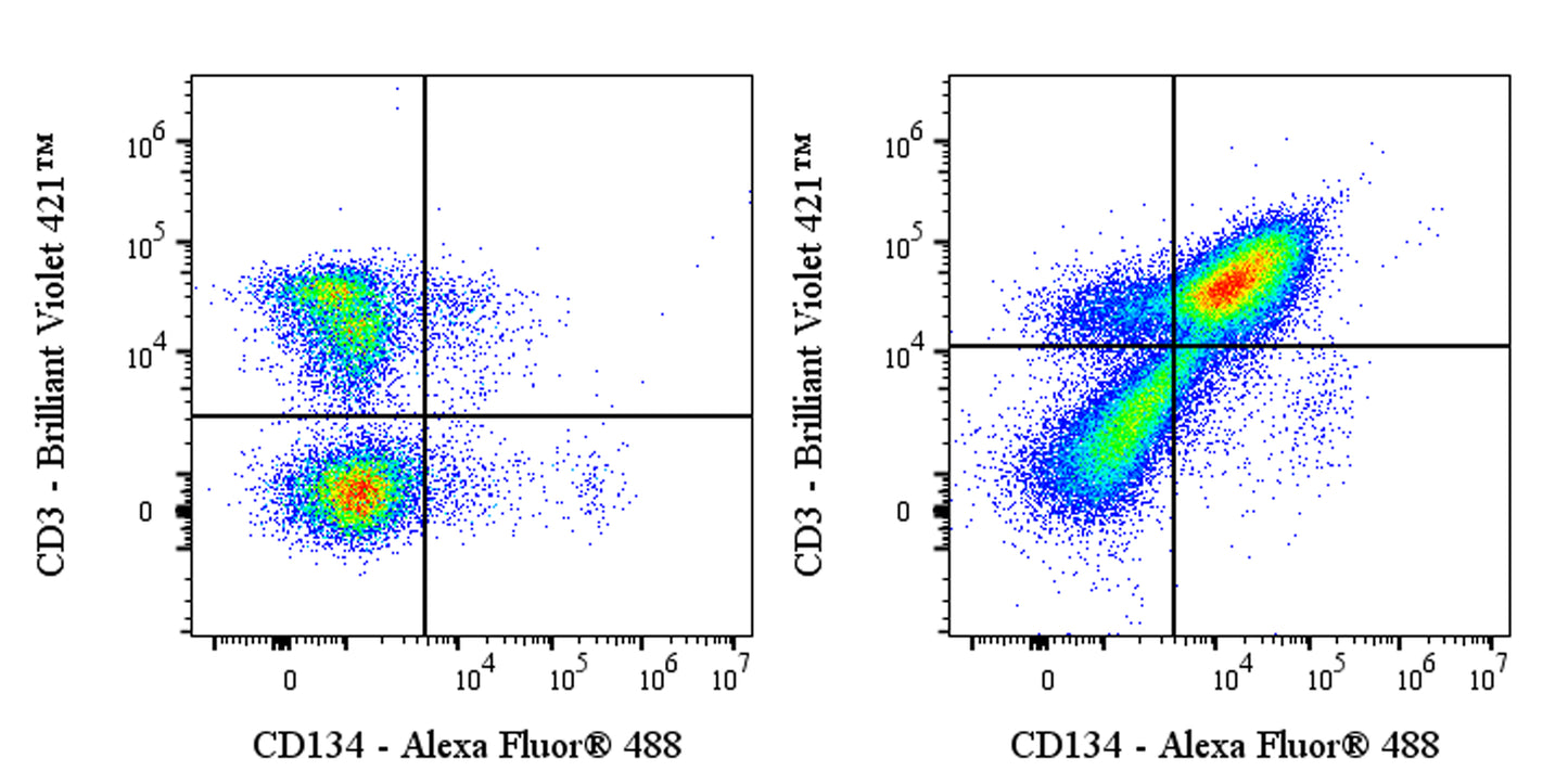 Invivo anti-Mouse CD134 Recombinant mAb