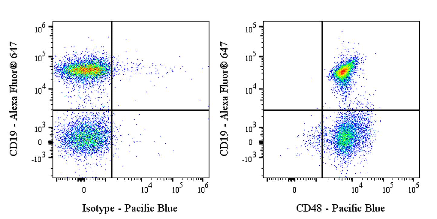 Pacific Blue Armenian hamster Anti-Mouse CD48 Antibody (HM48-1)