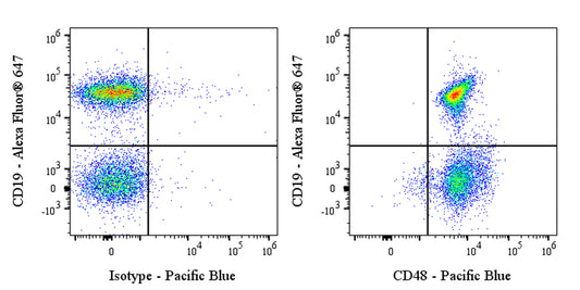 Pacific Blue Armenian hamster Anti-Mouse CD48 Antibody (HM48-1)