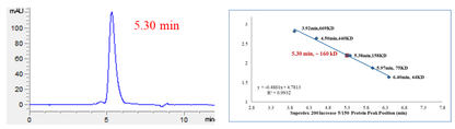 CDK5 Protein