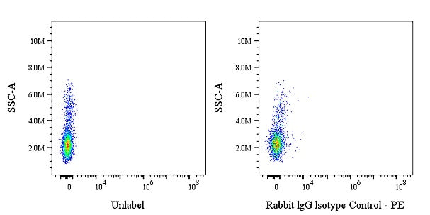 PE Rabbit IgG Isotype Control Antibody (S-R058)